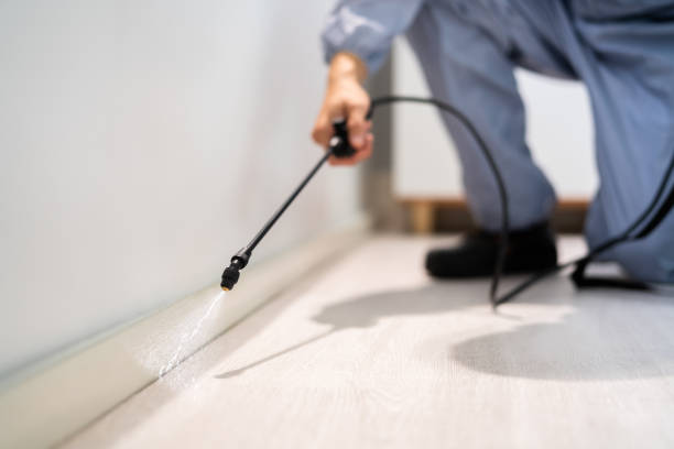 Licensed Mosquito Control service in Steele Creek, AK - Show Me Pest Control