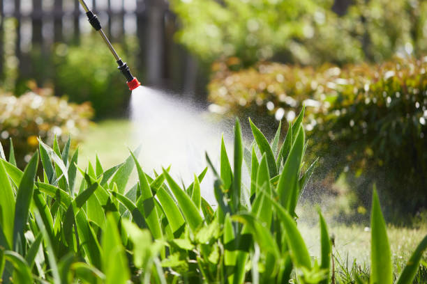 24/7 Emergency Mosquito Control experts in Steele Creek, AK