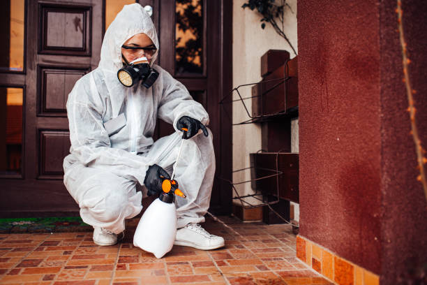 Reliable Mosquito Control contractor in Steele Creek, AK by Show Me Pest Control