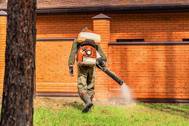 Top rated local Mosquito Control specialists in Steele Creek, AK
